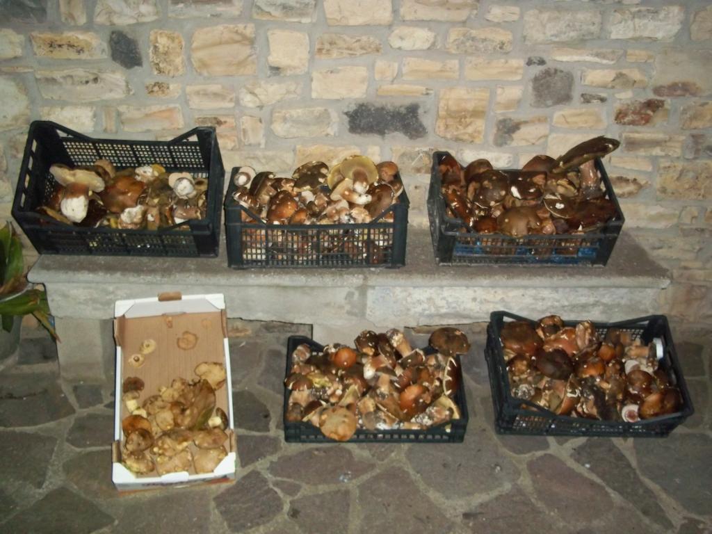 סרדרה B&B Sa Muredda מראה חיצוני תמונה